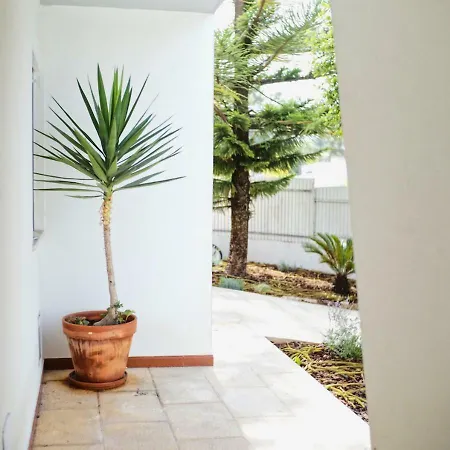 Holiday home Faulha House,with Bbq And Swimming Pool *